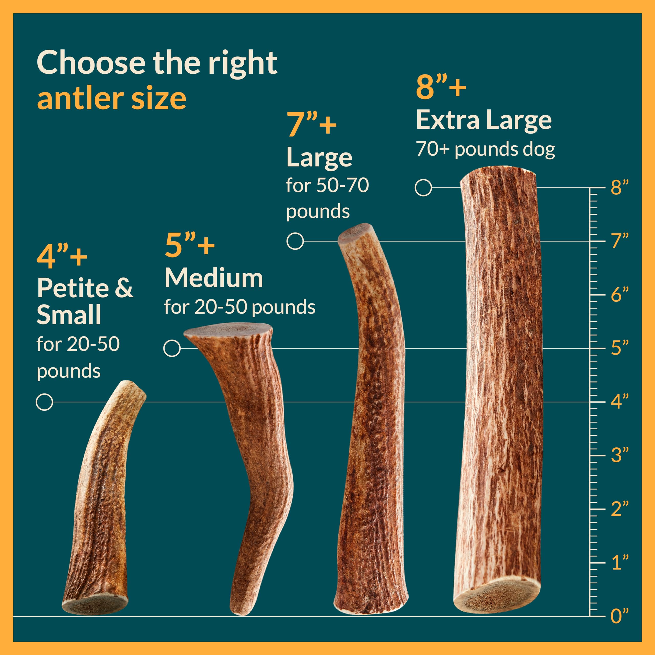 100% Natural - Elk Antlers for Dogs (3 Pack) - Chewers - Naturally Shed in USA - Dog Antler Chews for Medium Breeds - Natural, L